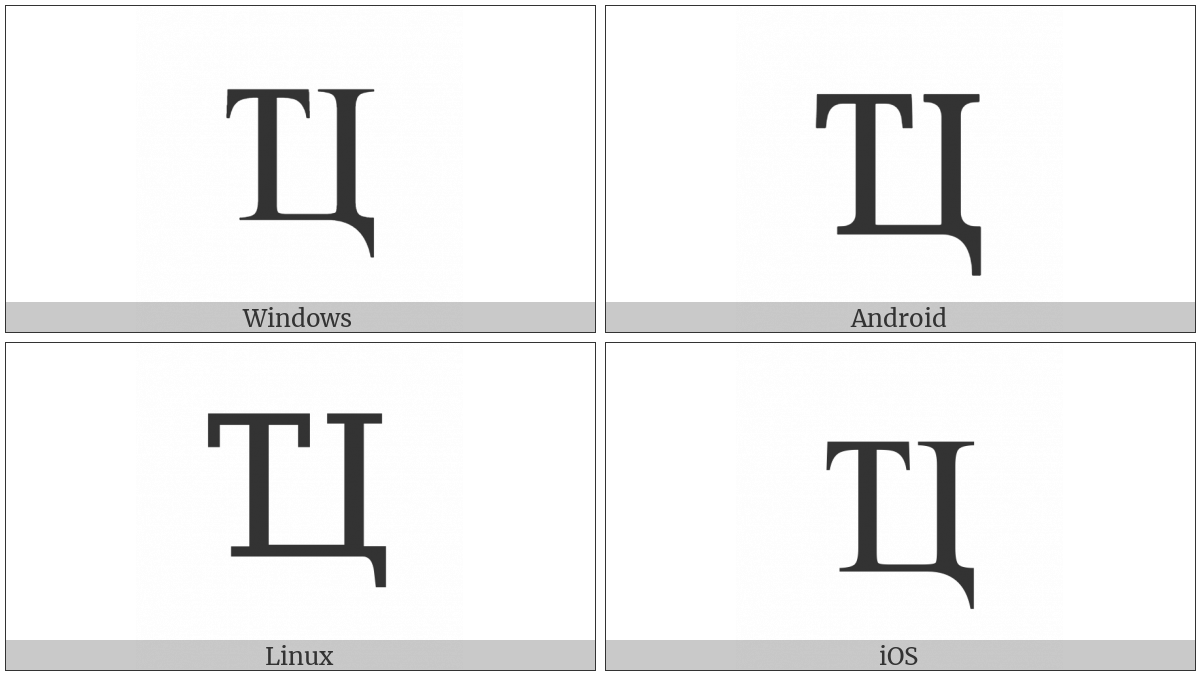 Cyrillic Capital Ligature Te Tse on various operating systems