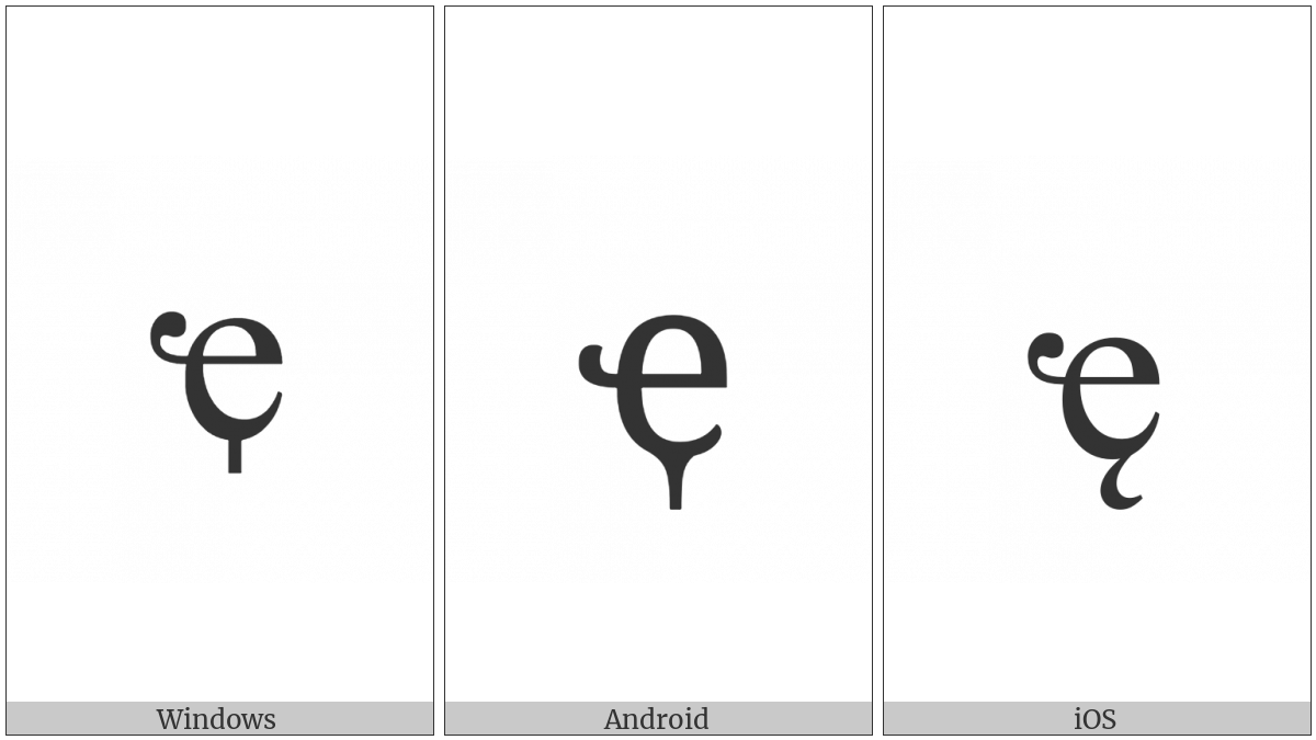 Cyrillic Small Letter Abkhasian Che With Descender on various operating systems