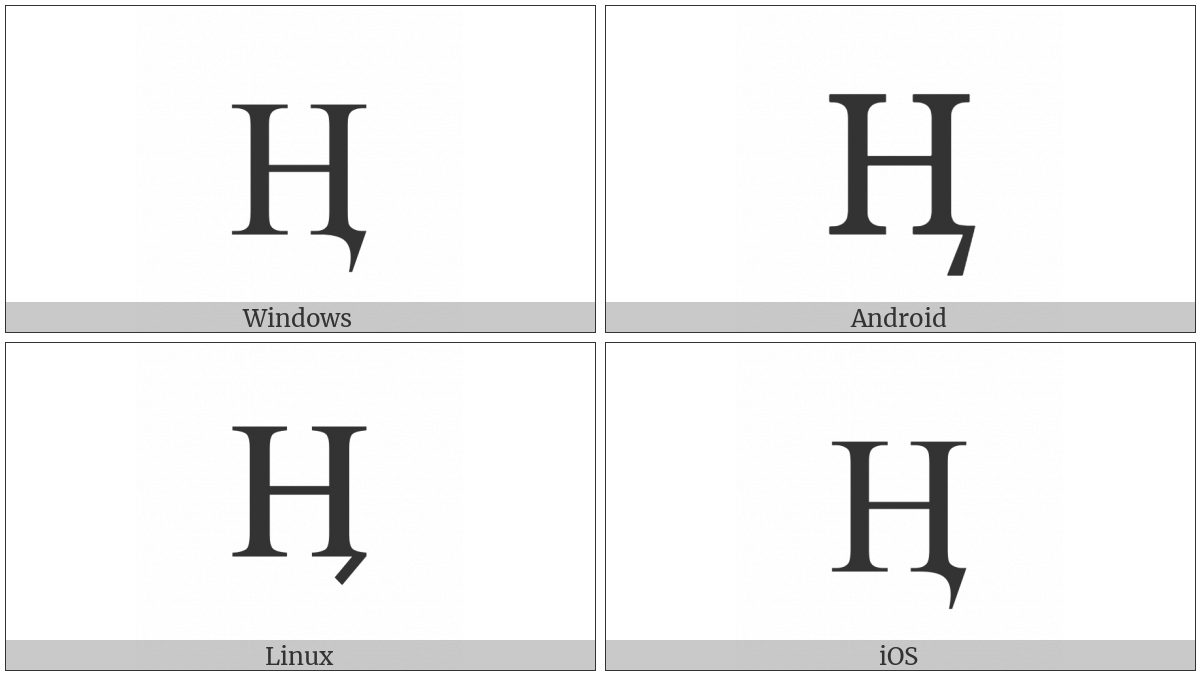 Cyrillic Capital Letter En With Tail on various operating systems