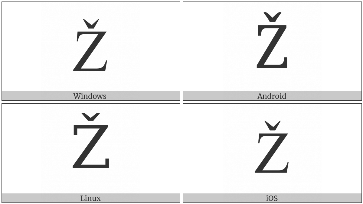 Latin Capital Letter Z With Caron on various operating systems