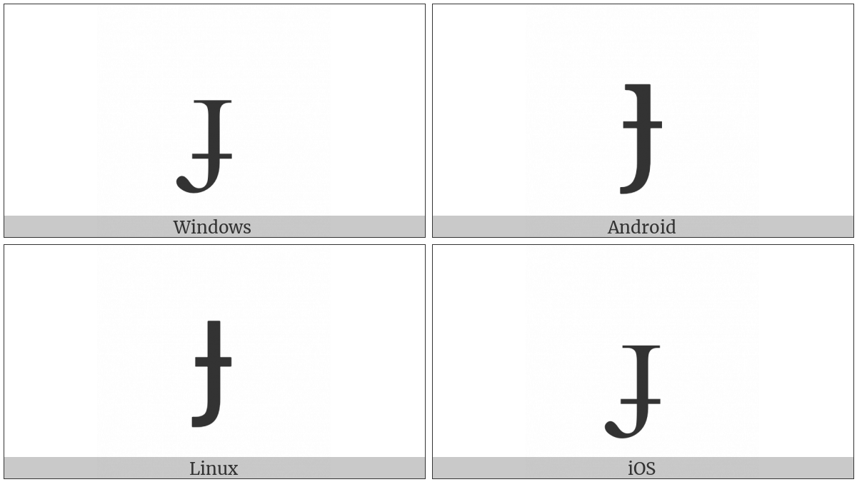 Latin Small Letter Dotless J With Stroke on various operating systems