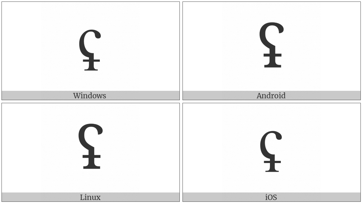 Latin Letter Reversed Glottal Stop With Stroke on various operating systems