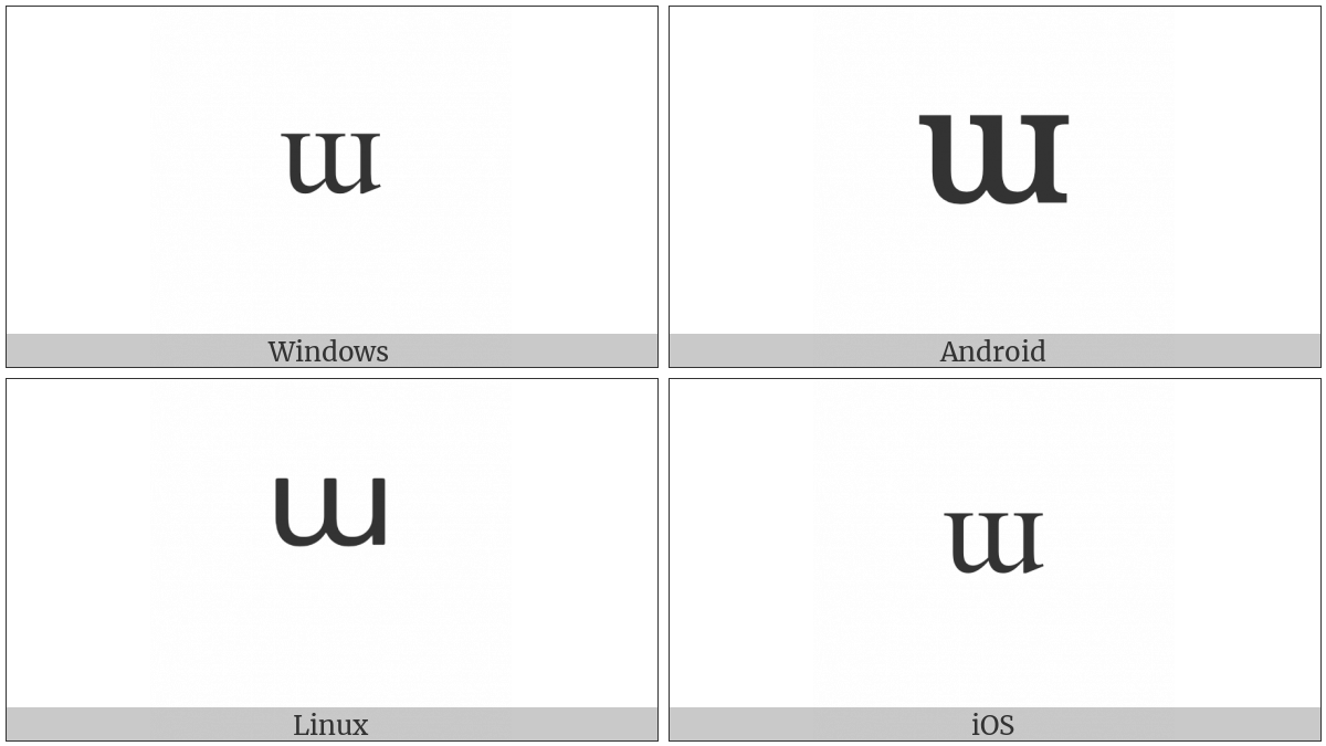 Modifier Letter Small Turned M on various operating systems