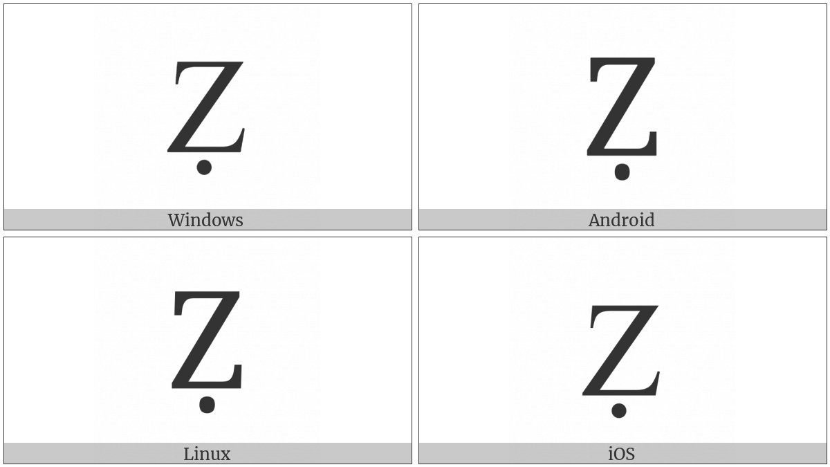 Latin Capital Letter Z With Dot Below on various operating systems
