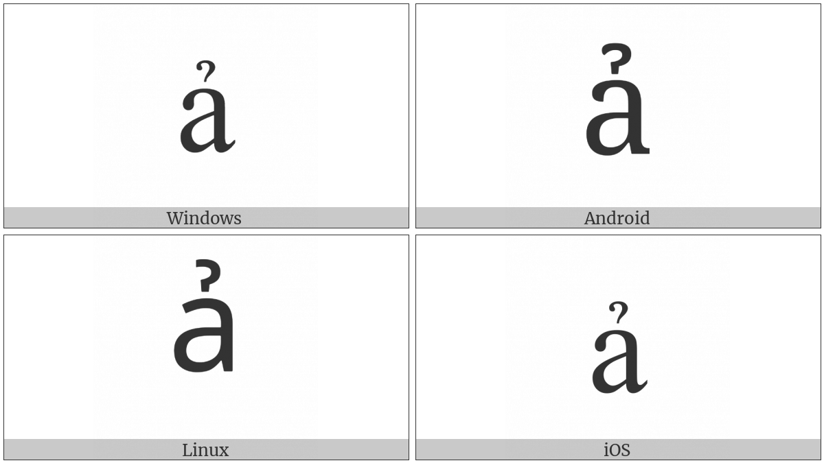 Latin Small Letter A With Hook Above on various operating systems