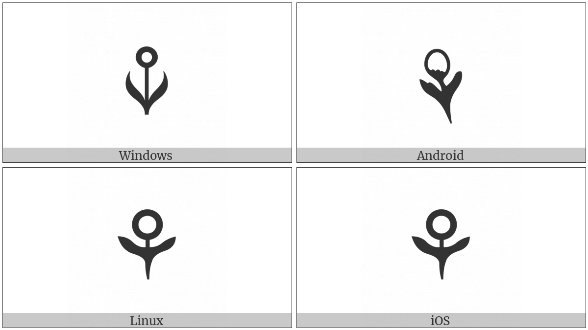 Flower on various operating systems