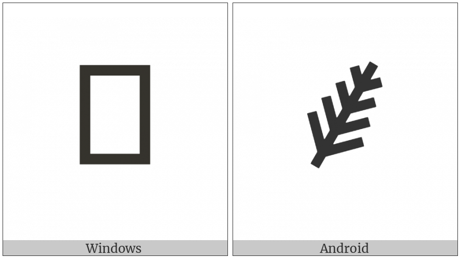 Palm Branch on various operating systems
