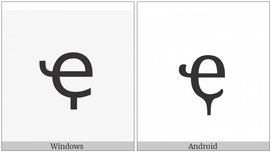 Cyrillic Small Letter Abkhasian Che With Descender on various operating systems