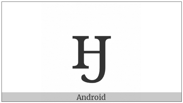 Cyrillic Small Letter En With Hook on various operating systems
