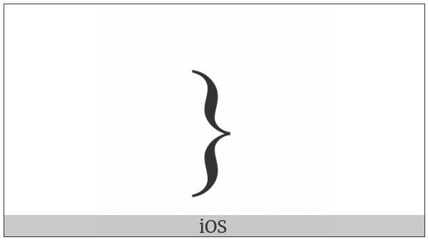 Right Curly Bracket on various operating systems