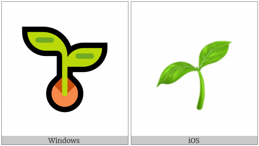 Seedling on various operating systems