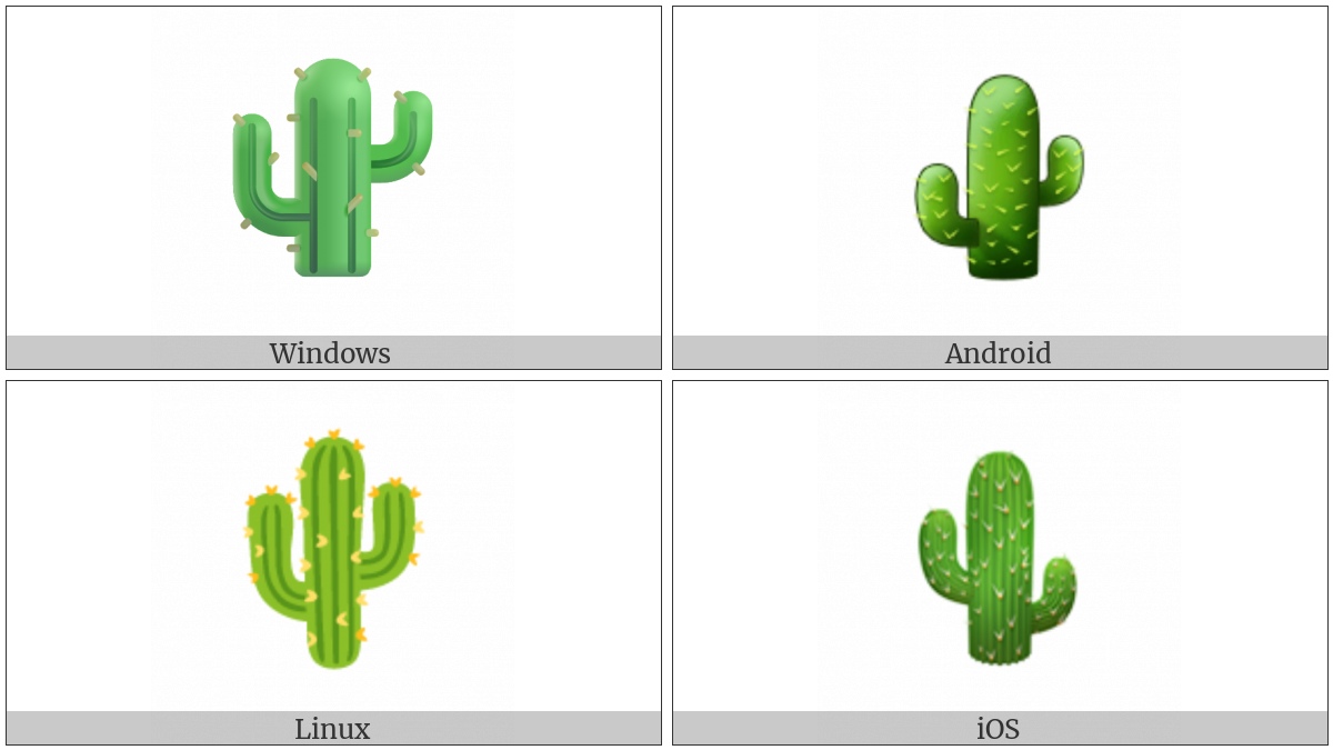 Cactus on various operating systems