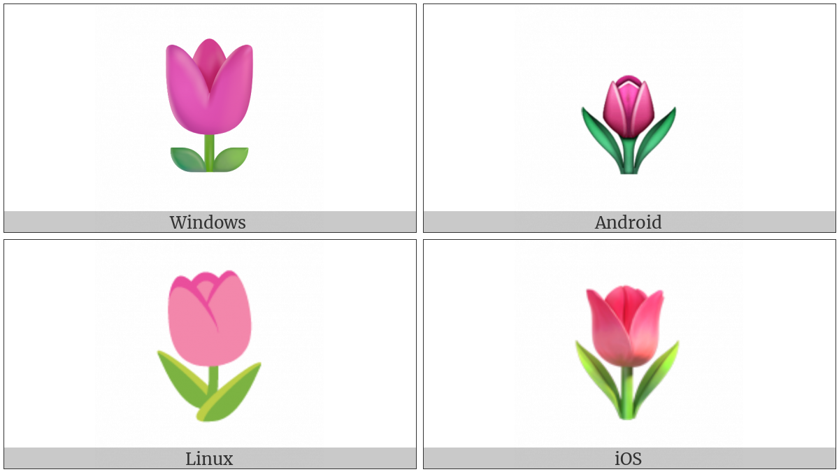 Tulip on various operating systems