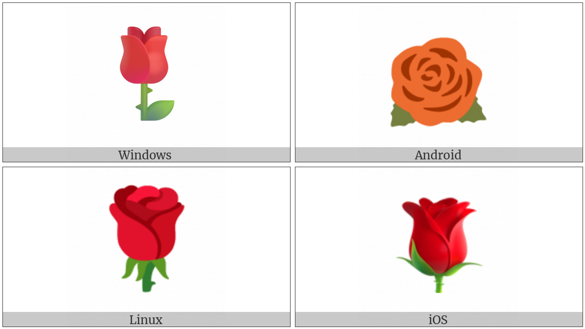 Rose on various operating systems
