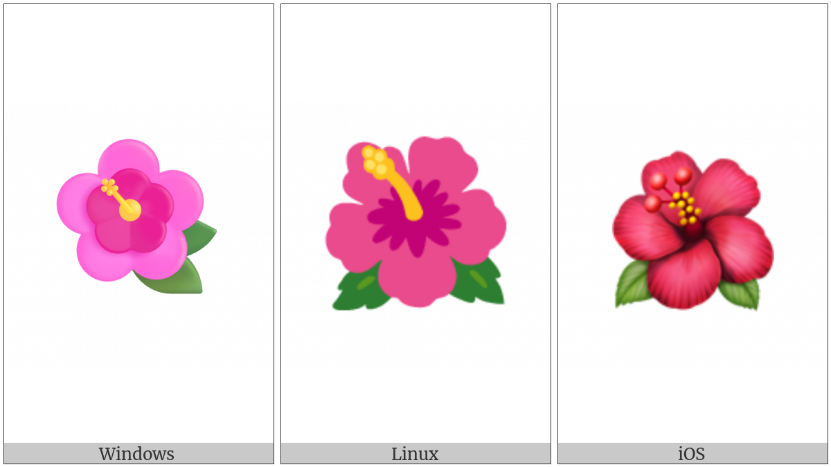Hibiscus on various operating systems