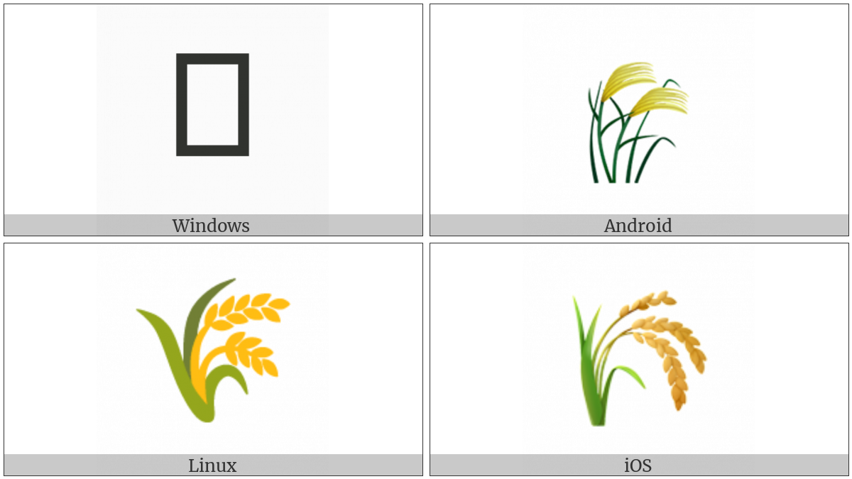 Ear Of Rice on various operating systems