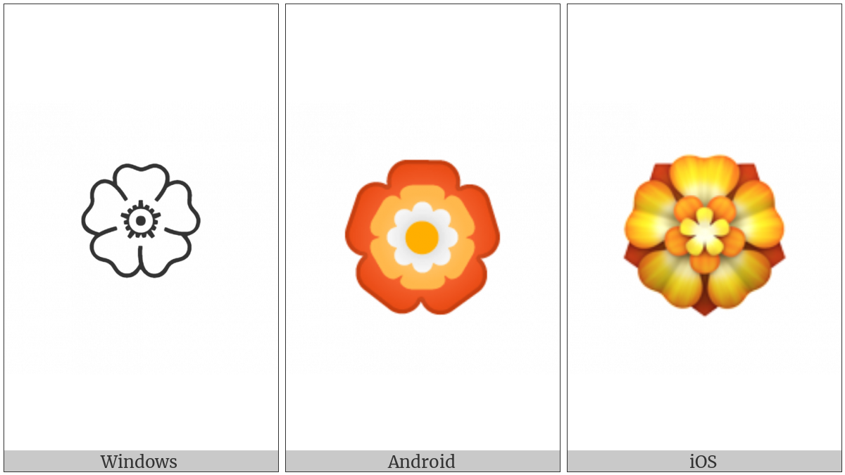 Rosette on various operating systems