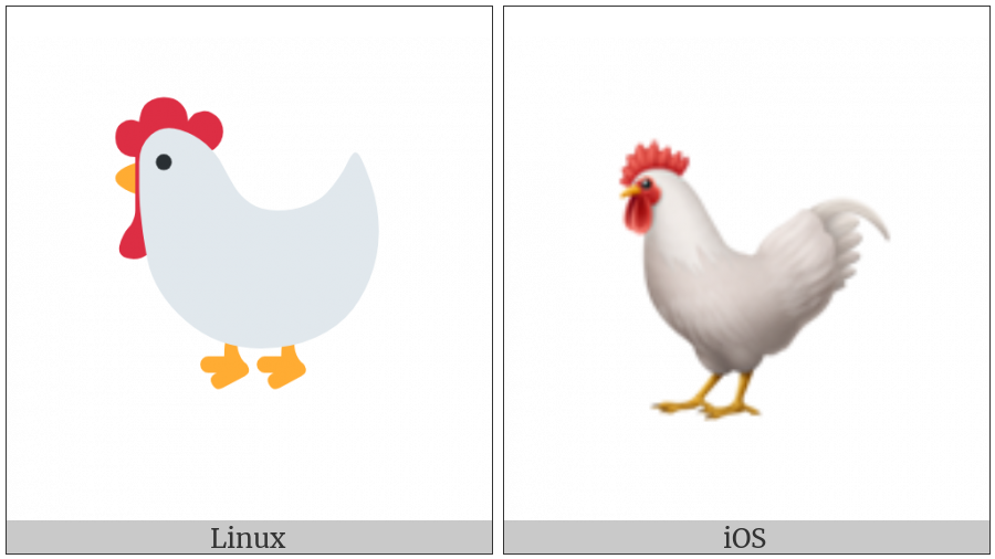 Rooster on various operating systems
