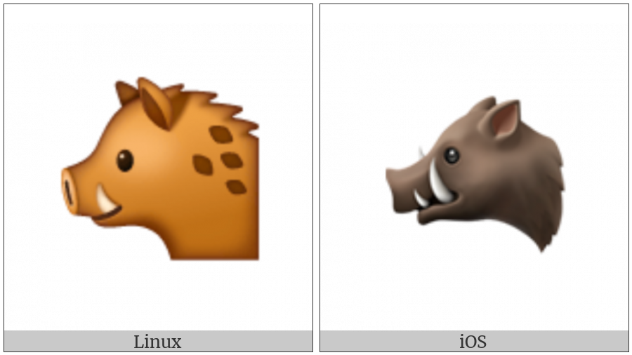 Boar on various operating systems