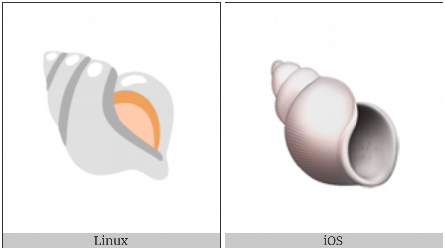 Spiral Shell on various operating systems