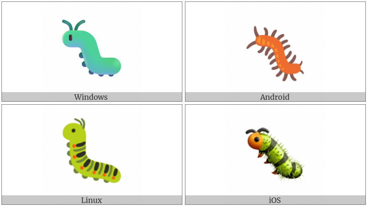 Bug on various operating systems