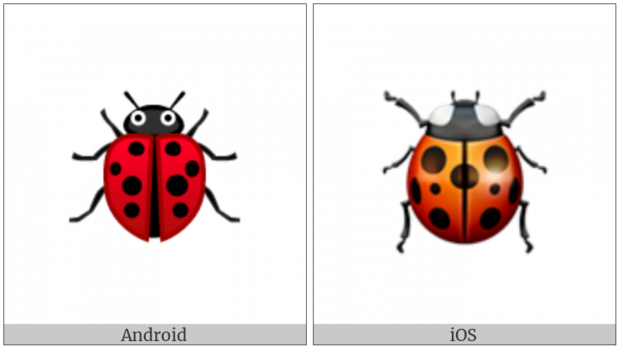 Lady Beetle on various operating systems