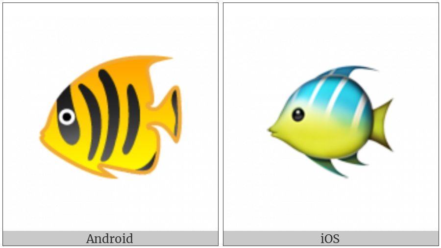 Tropical Fish on various operating systems