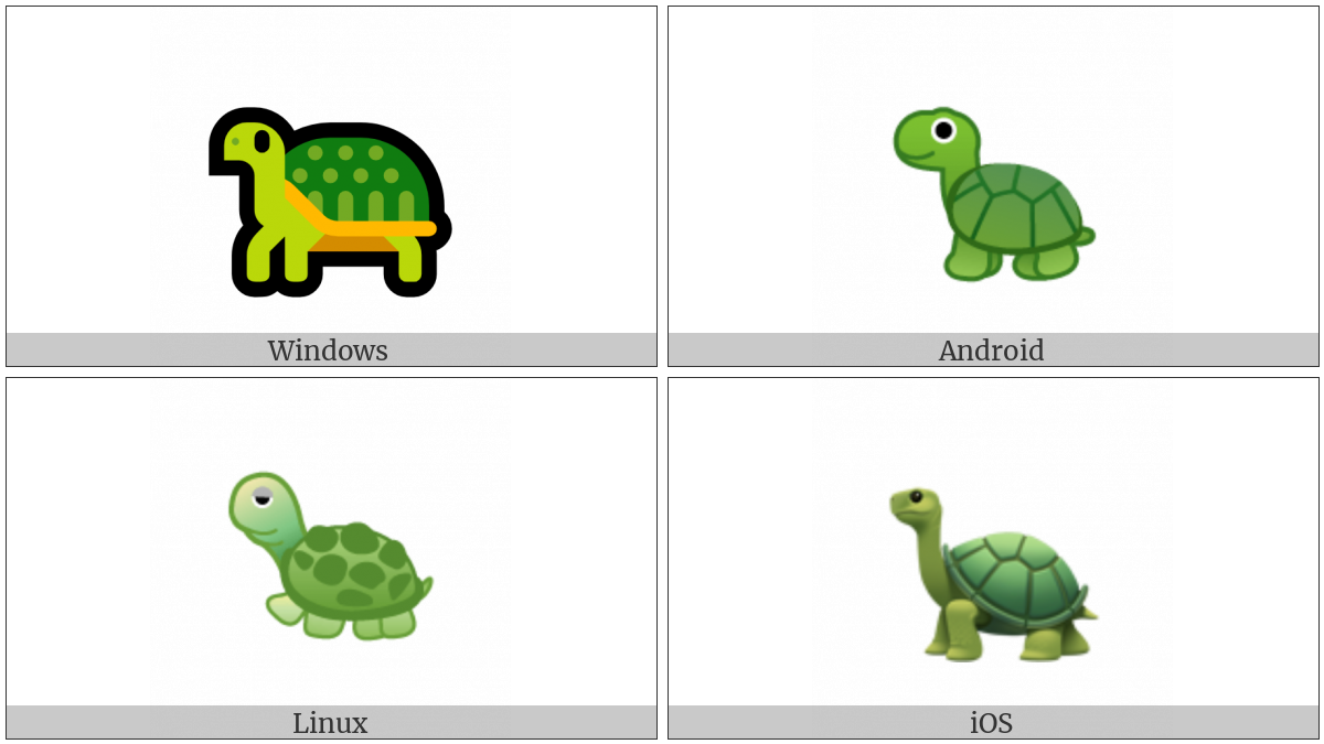Turtle on various operating systems