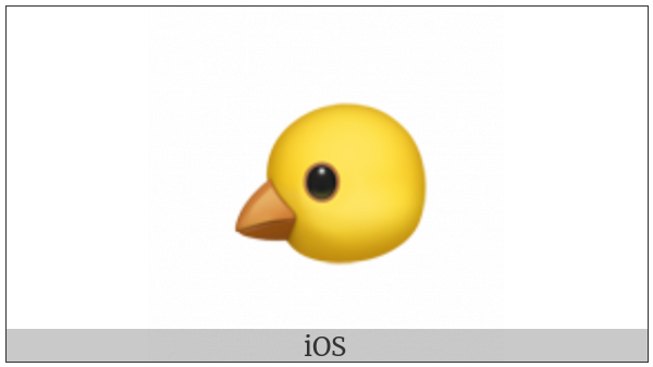 Baby Chick on various operating systems