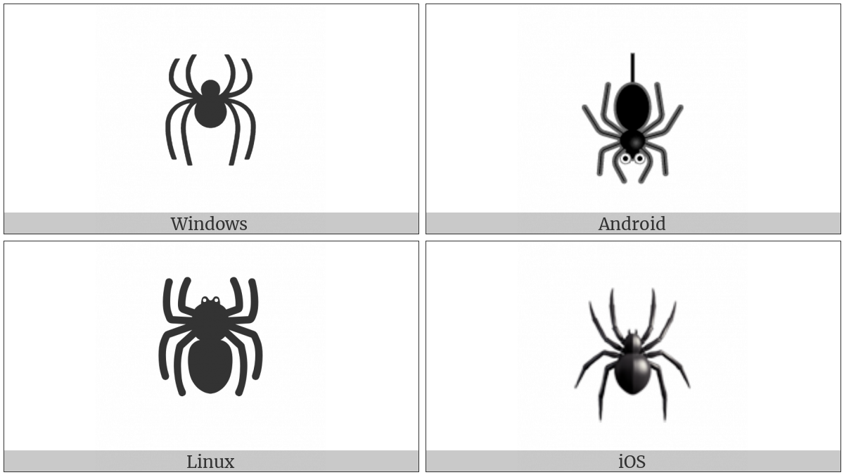 Spider on various operating systems