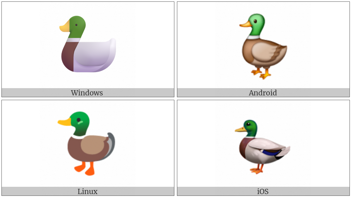Duck on various operating systems