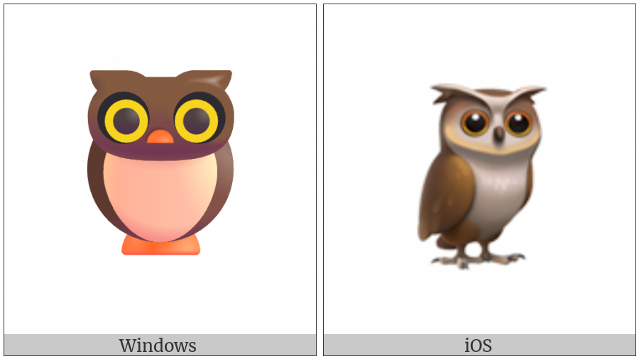 Owl on various operating systems