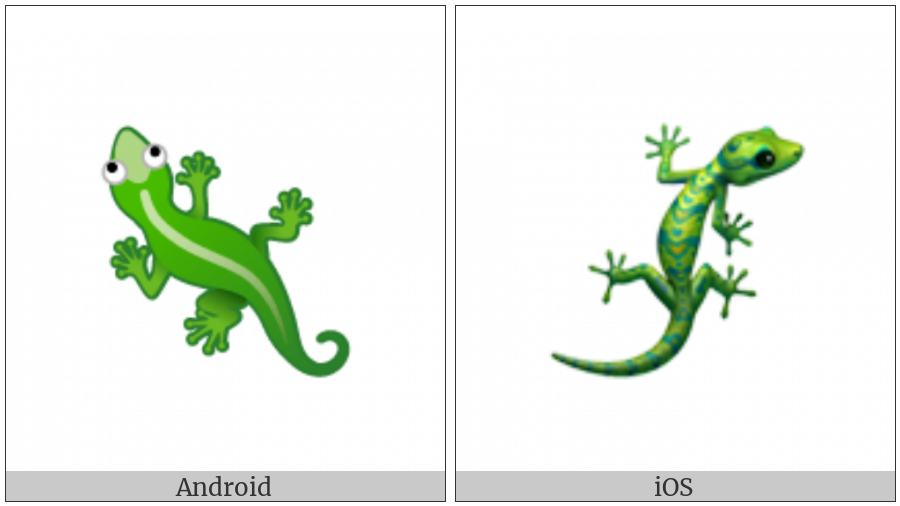 Lizard on various operating systems