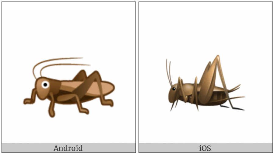 Cricket on various operating systems