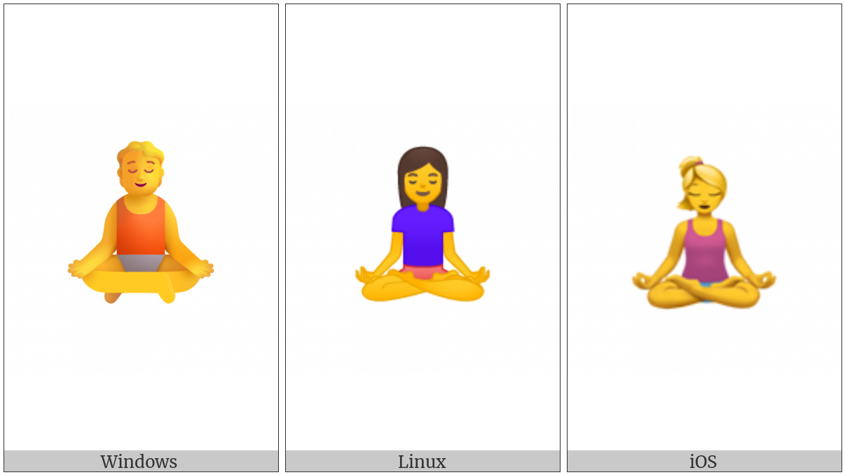 Person In Lotus Position on various operating systems