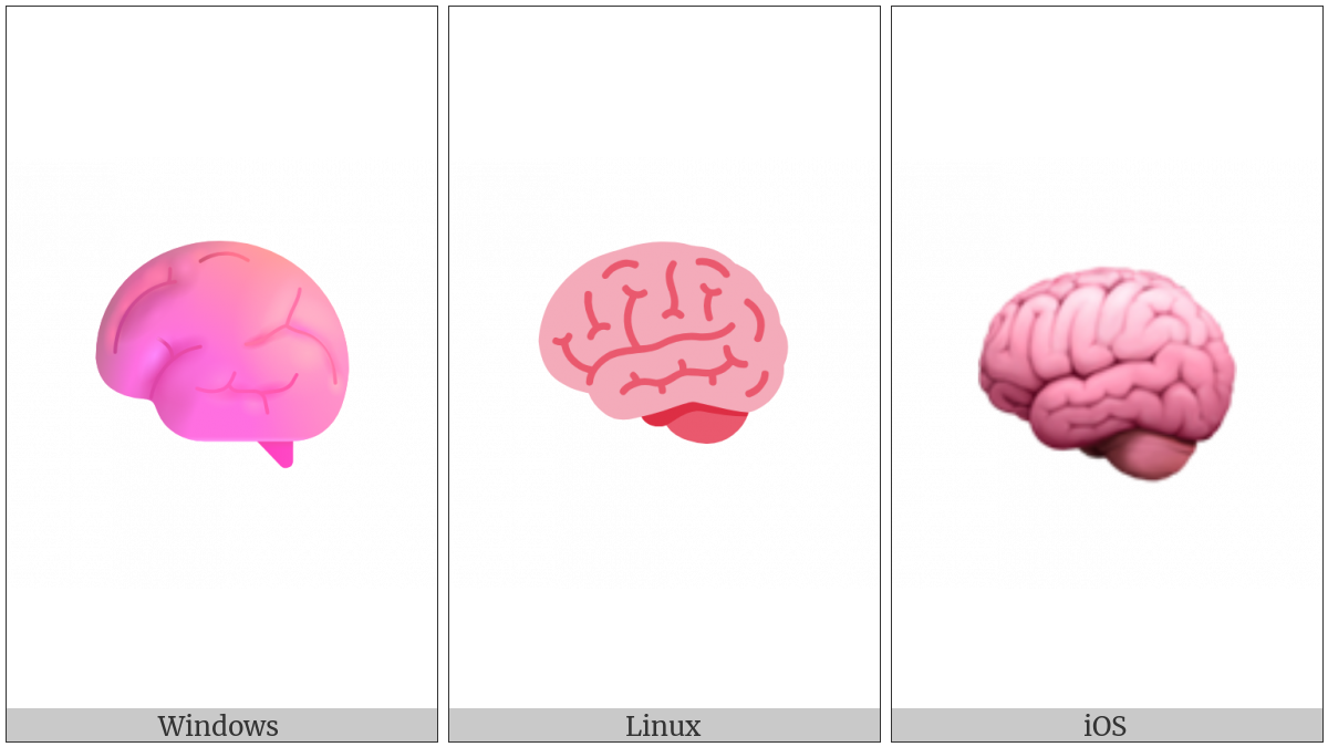 Brain on various operating systems