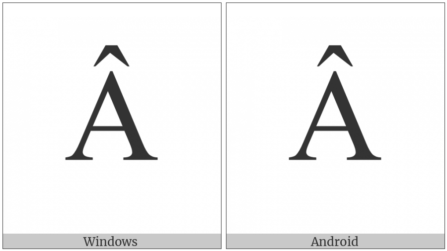 Latin Capital Letter A With Circumflex on various operating systems