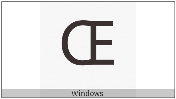 Latin Capital Ligature Oe on various operating systems