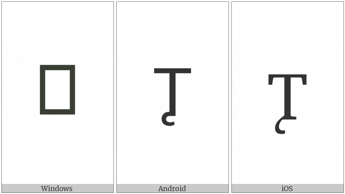 Cyrillic Capital Letter Tsse on various operating systems