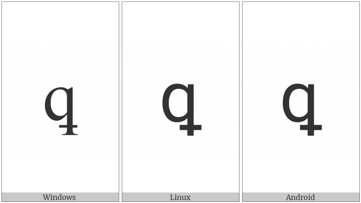 Latin Small Letter Q With Stroke Through Descender on various operating systems