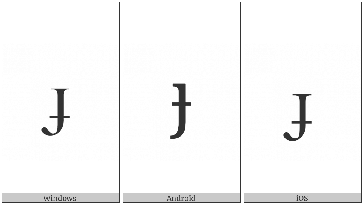 Latin Small Letter Dotless J With Stroke on various operating systems