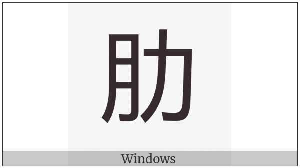 Cjk Compatibility Ideograph-F953 on various operating systems
