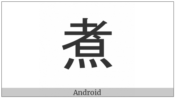 Cjk Compatibility Ideograph-Fa48 on various operating systems