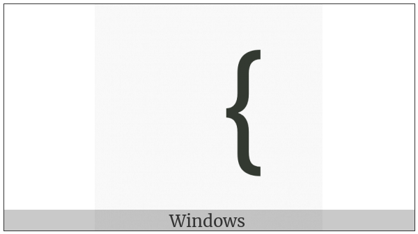Fullwidth Left Curly Bracket on various operating systems