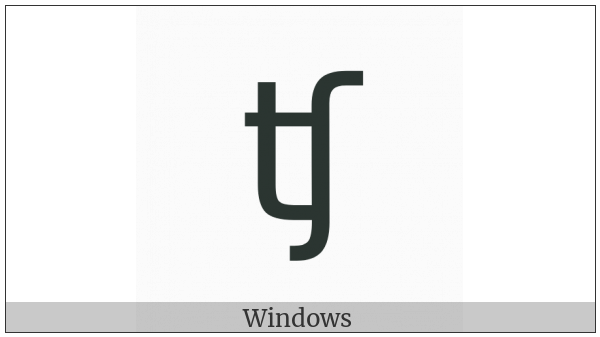 Latin Small Letter Tesh Digraph on various operating systems