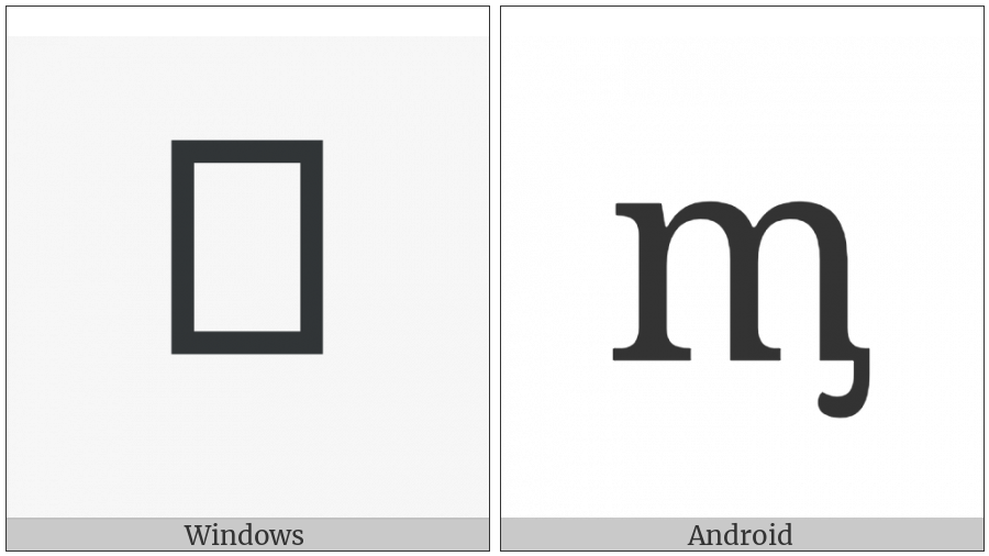 Latin Small Letter M With Palatal Hook on various operating systems