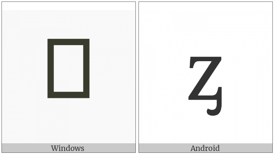 Latin Small Letter Z With Palatal Hook on various operating systems