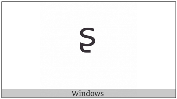 Modifier Letter Small S With Hook on various operating systems