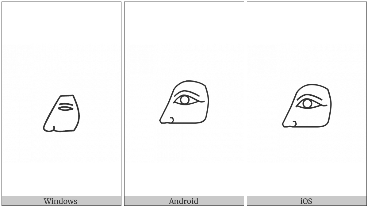 Egyptian Hieroglyph D019 on various operating systems
