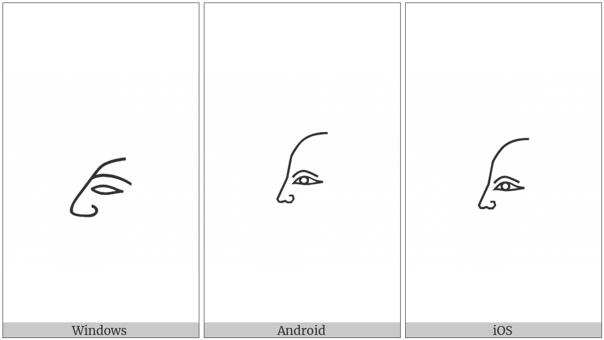 Egyptian Hieroglyph D020 on various operating systems